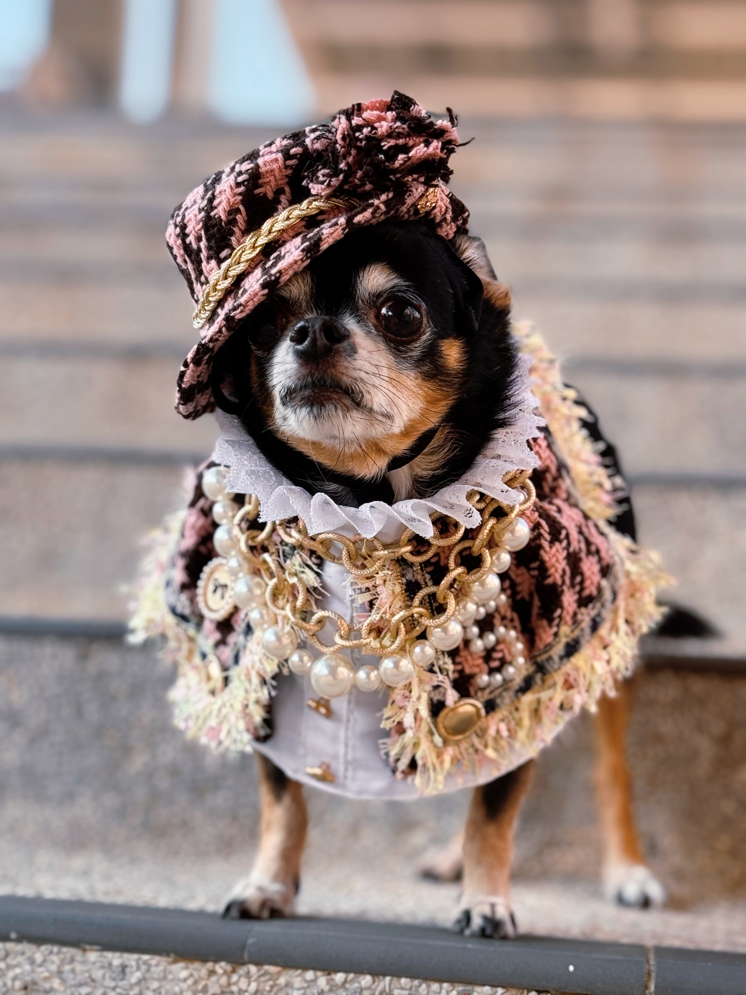 寵物原創設計 低調奢華小香風 寵物頸飾