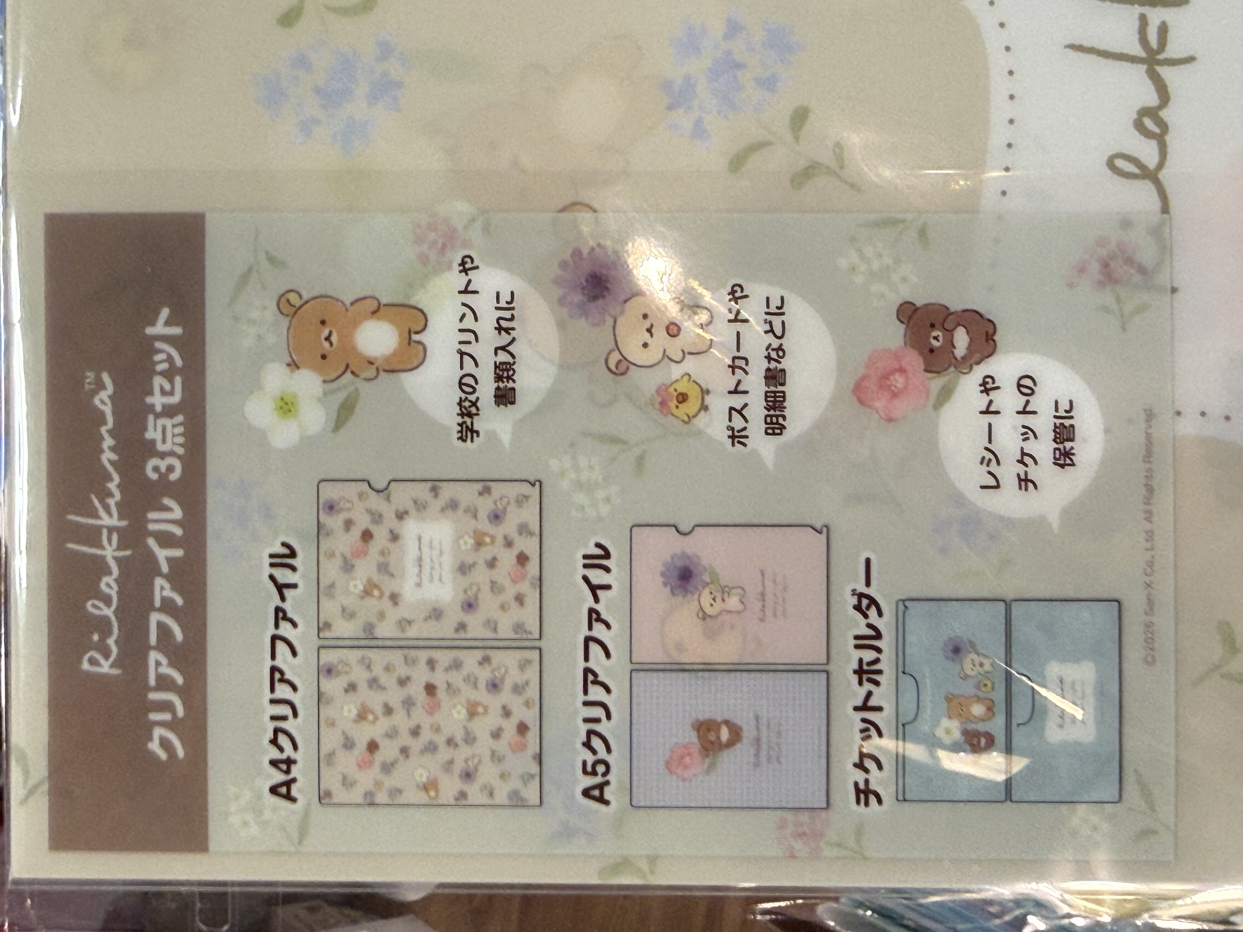 《現貨》全新日本郵便局限定 Rilakkuma A5+A4file+收據袋