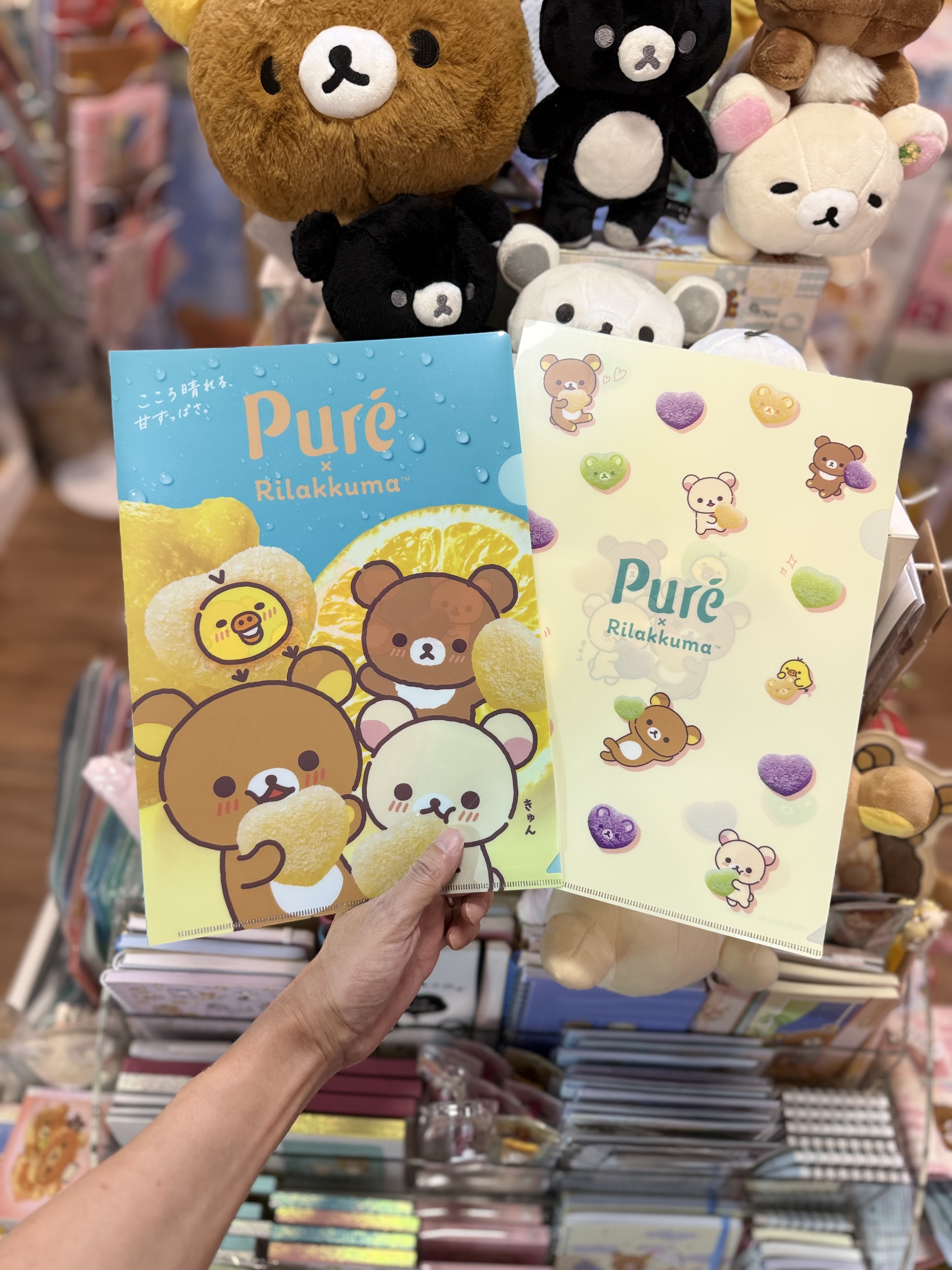 《現貨》全新loft 限定puregumi x rilakkuma 對裝file