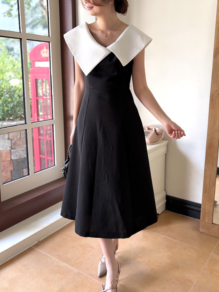 Celine Contrast Collar Dress