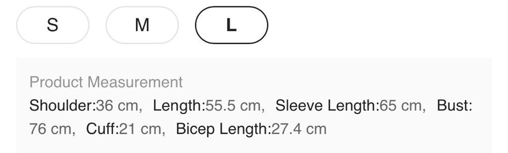 精緻蕾絲長袖上衣