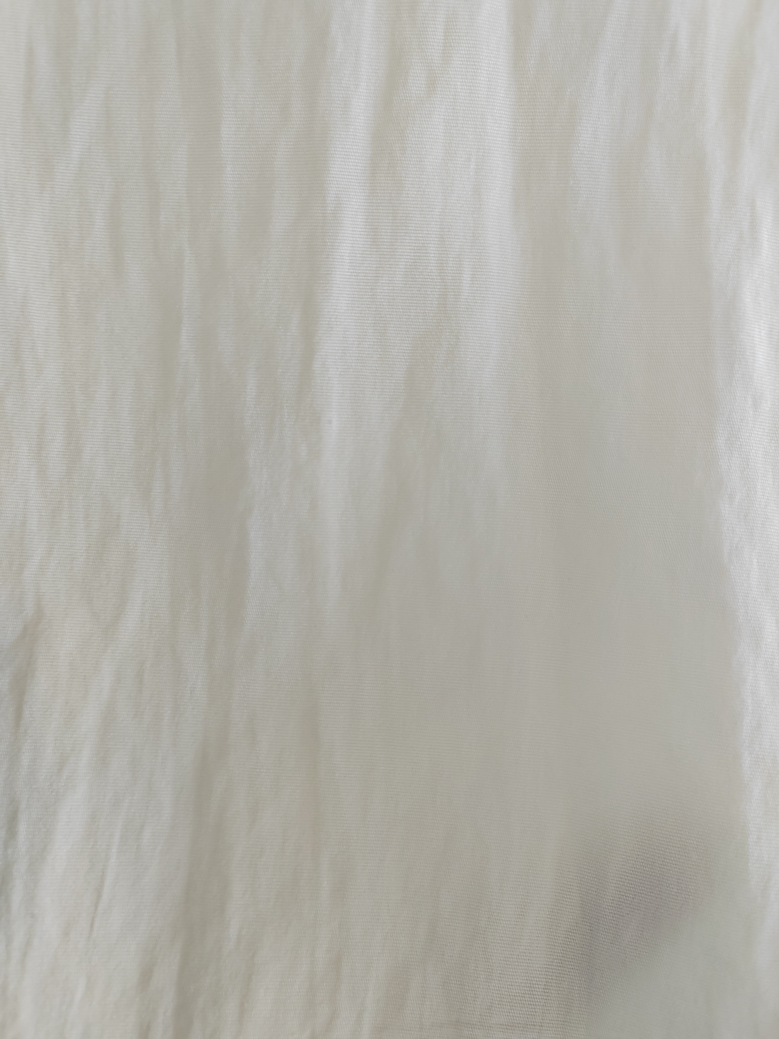 NP1181