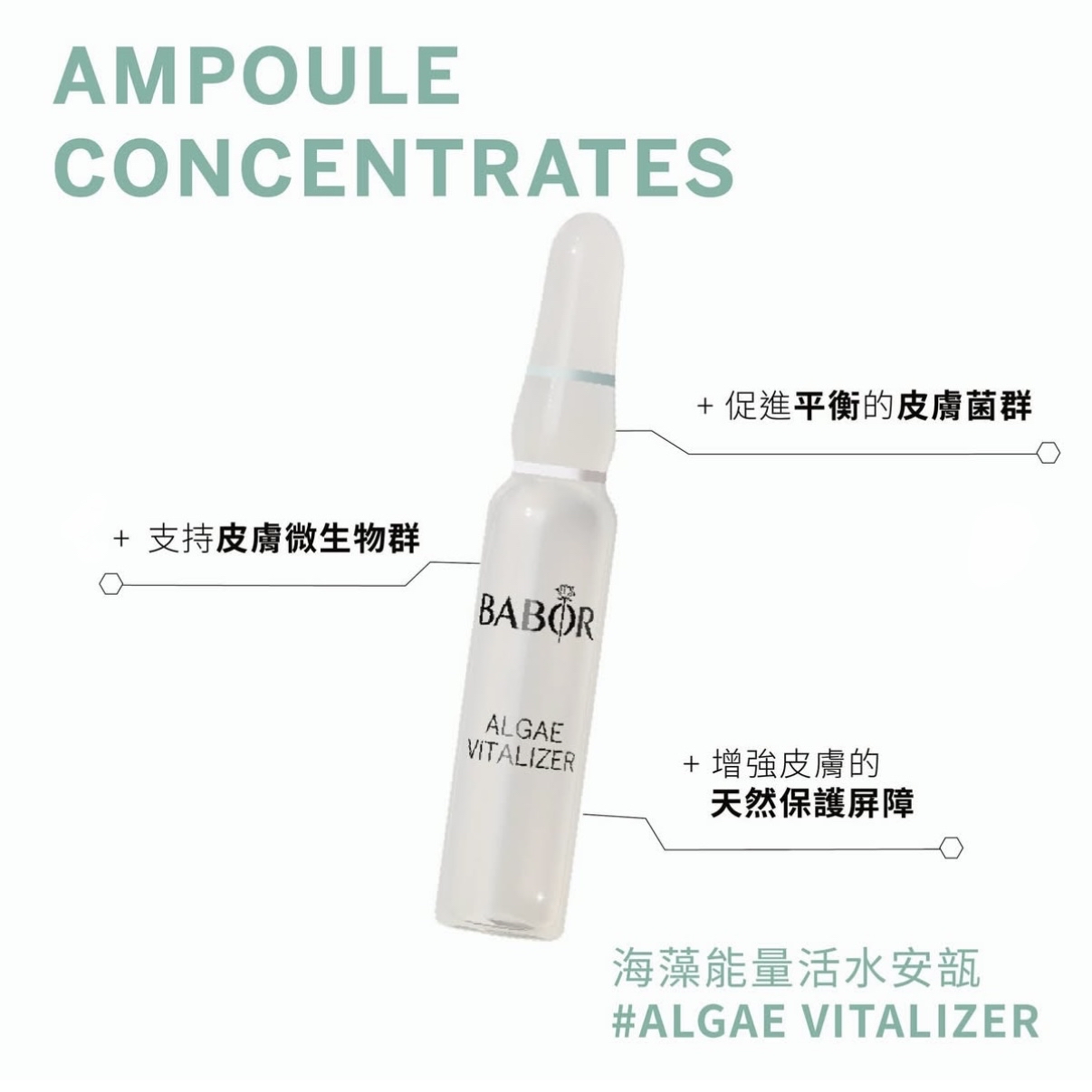 🇩🇪德國BABOR  海藻能量活水安瓶精華 Algae Vitalizer