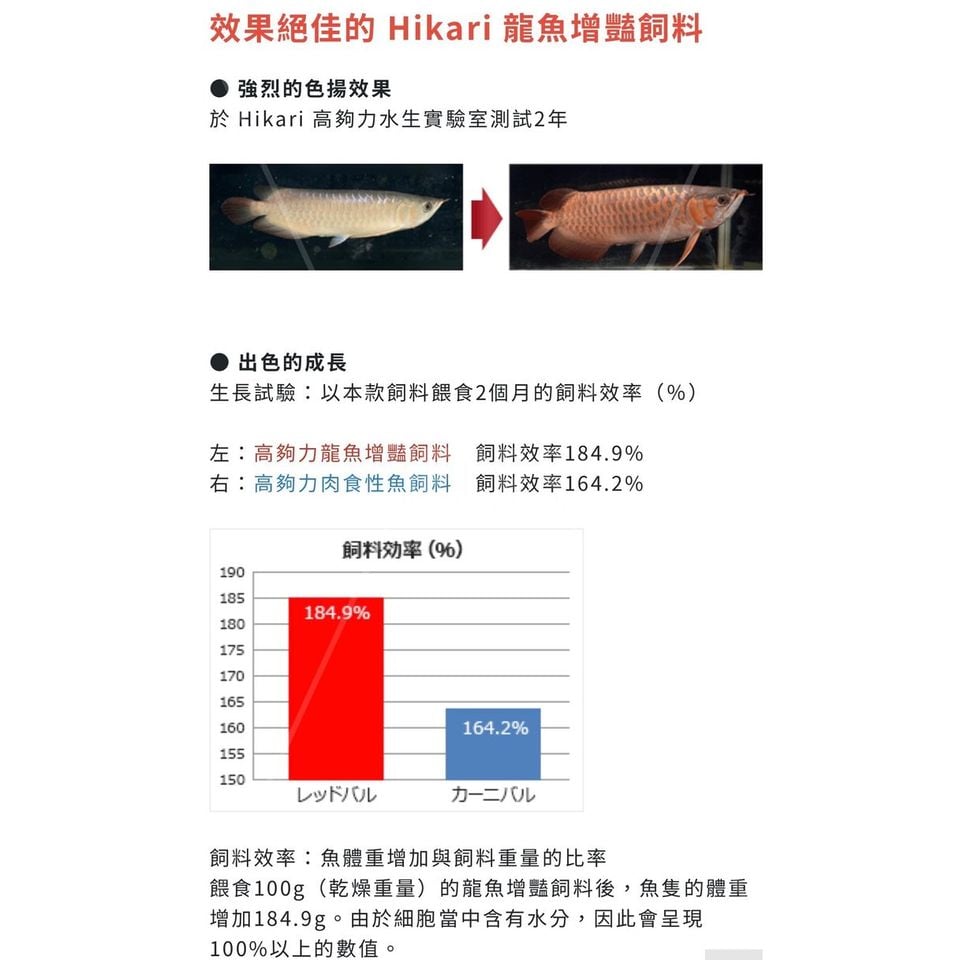 HIKARI 日本Hikari 高夠力龍魚高質量增豔魚糧中型條浮水性200g 27405