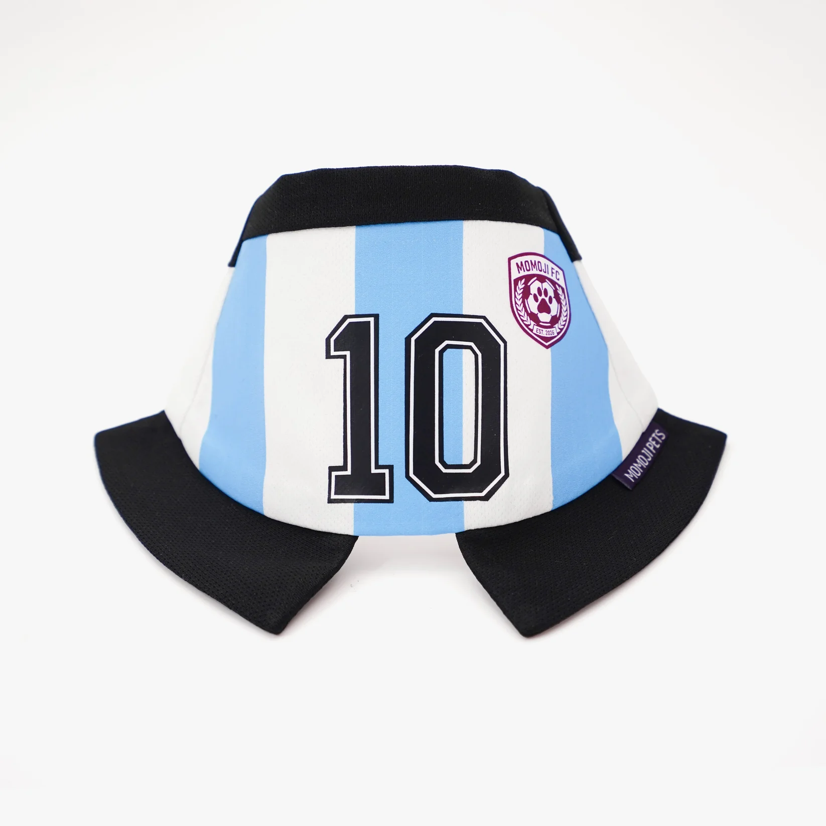 Momoji FC (2-Bueno Aires Stripes) | Pet Neckwear