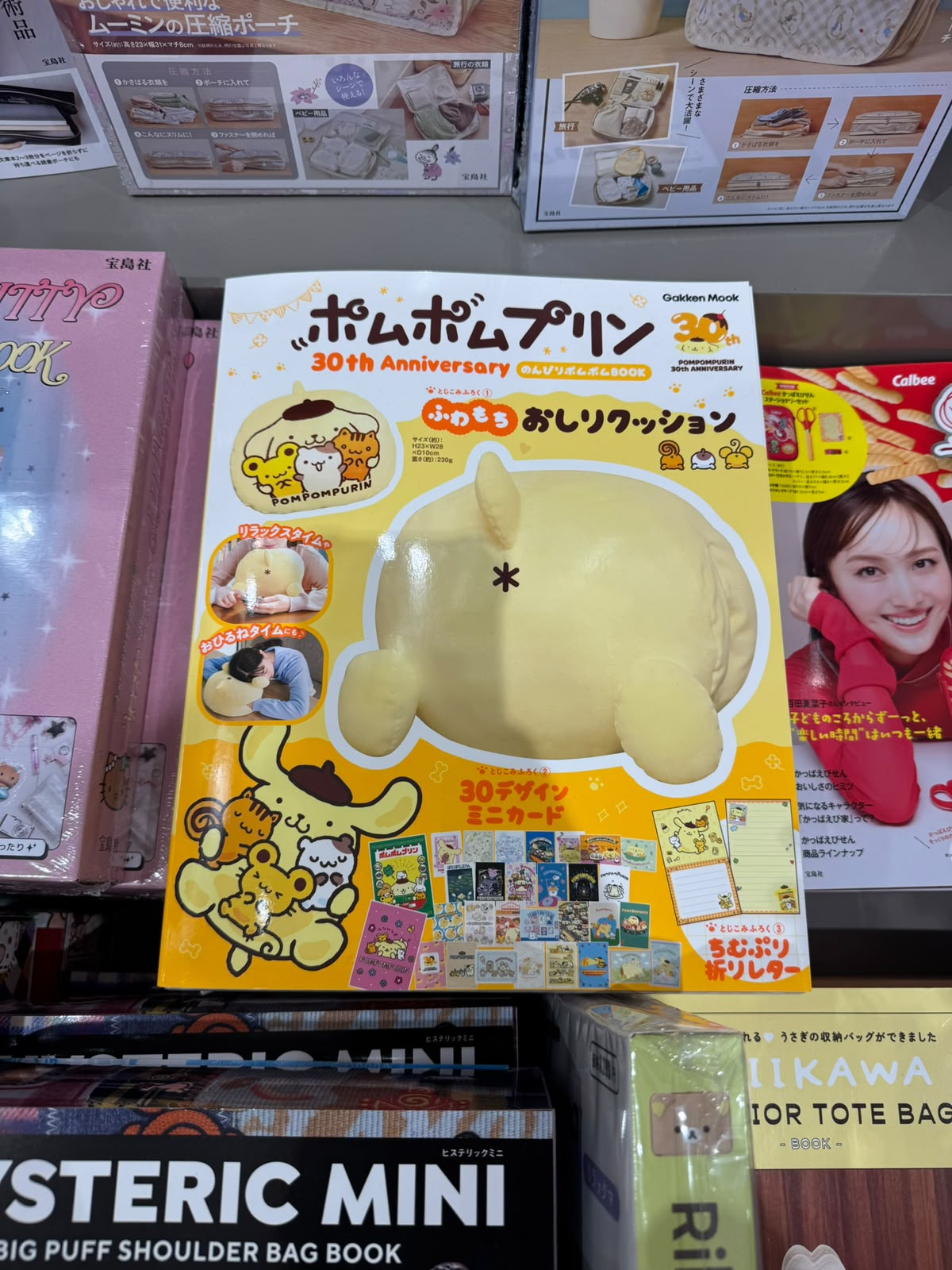 ✨連線商品需補運費✨Pompompurin 30週年 毛絨坐墊特刊