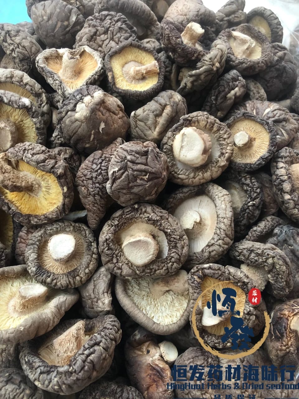 无硫4-5CM光面菇 Dried Mushroom 4-5CM 300gm