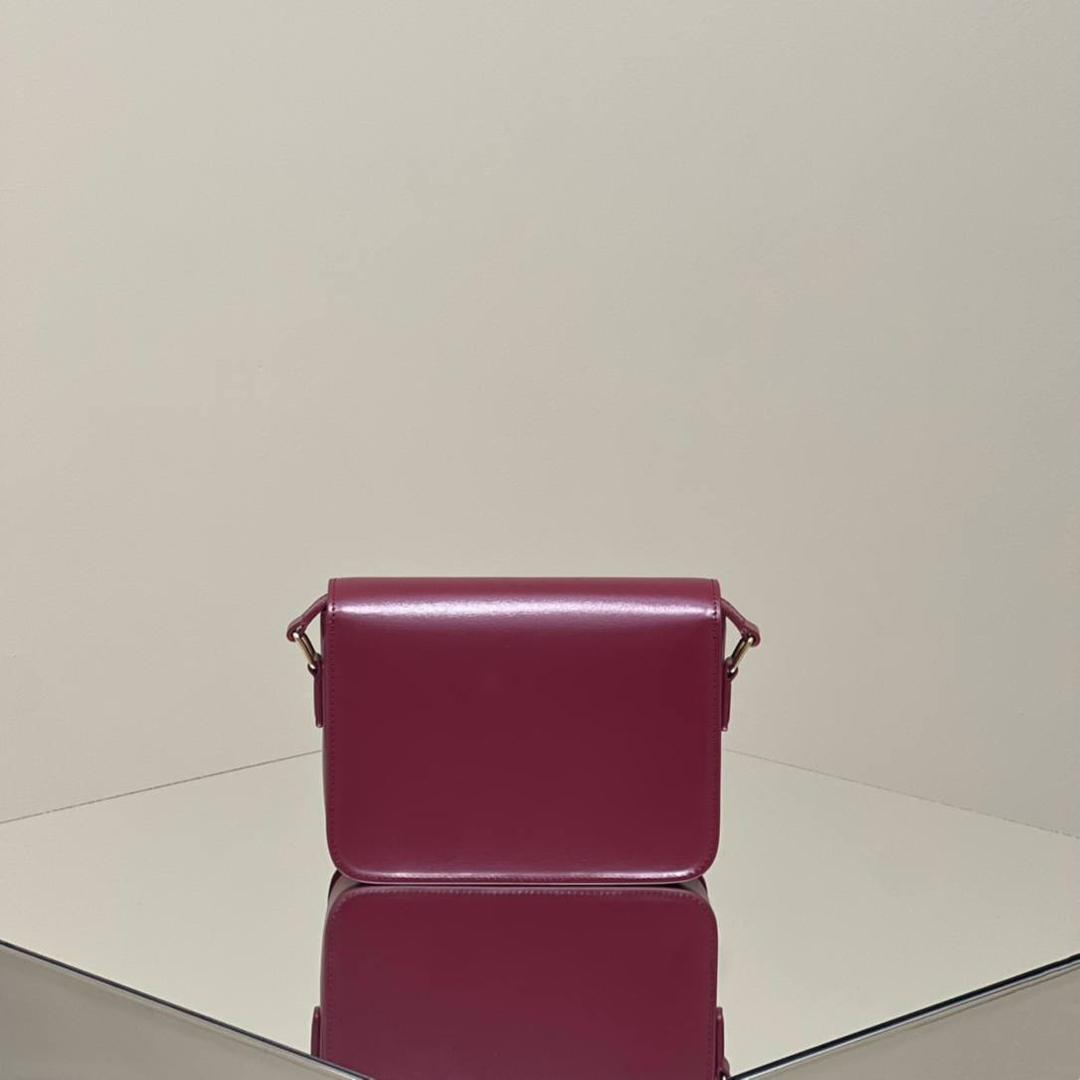 🔥大货实拍图 𝗖𝗘𝗟𝗜𝗡𝗘 ♥ 𝗧𝗘𝗘𝗡 𝗧𝗥𝗜𝗢𝗠𝗣𝗛𝗘 型号：188423 中号尺寸：22.5*16*7cm 小号尺寸：18.5*14*6cm