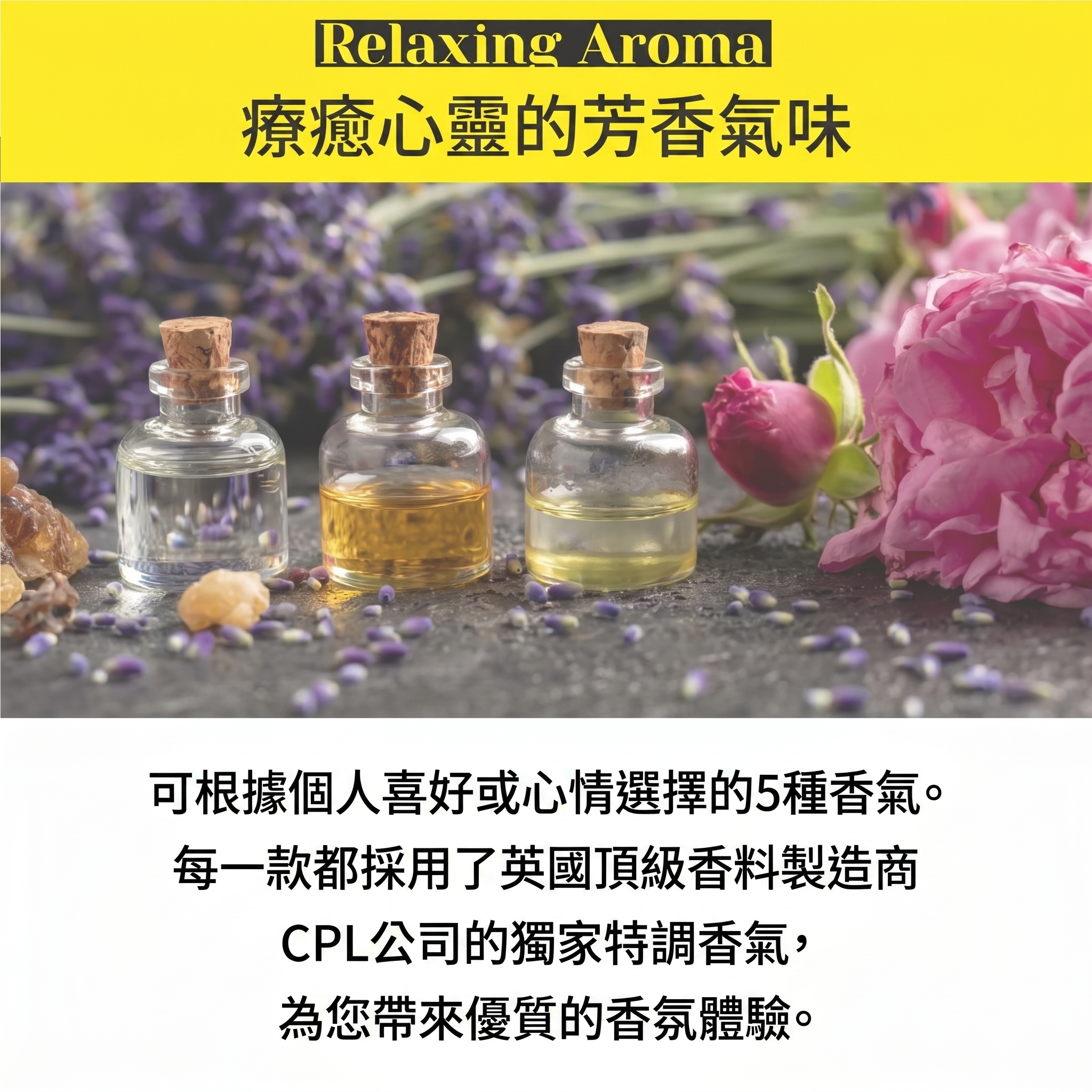 🌙Withmoon❌365avill 維他命淋浴濾心< 韓國製 >