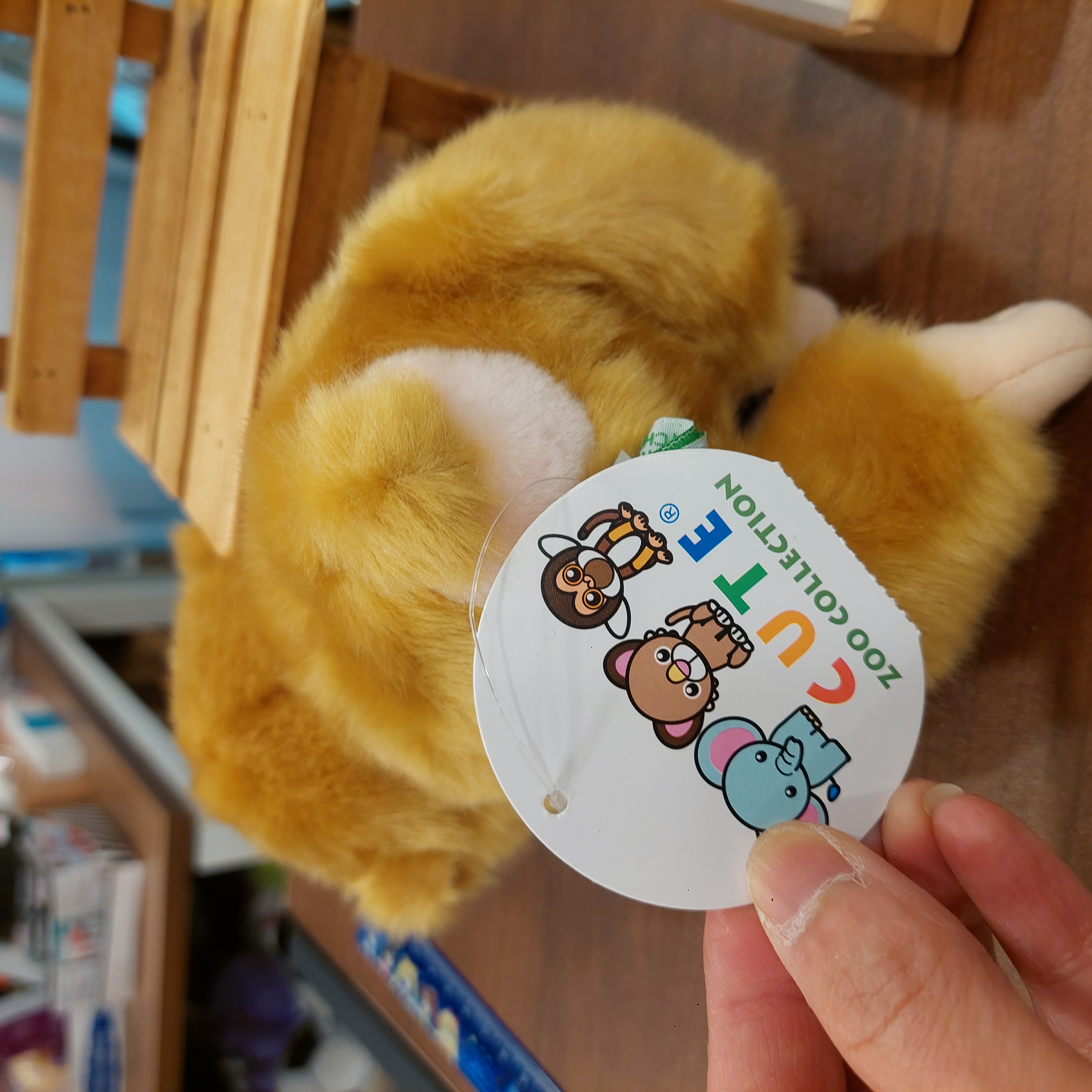日本 市川動物園  馬騮仔  手仔腳仔都附有磁石 限定款 punchi 君 吊飾, S, M, L 四個 Size 選