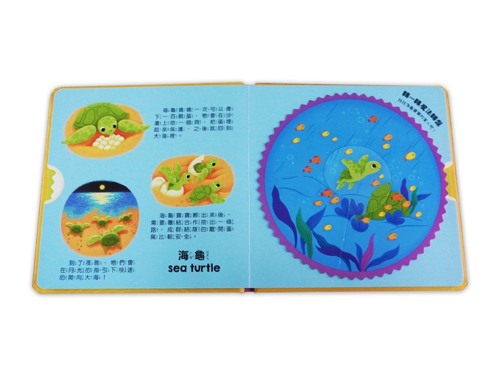 京采 我的魔法轉轉書：動物寶貝
