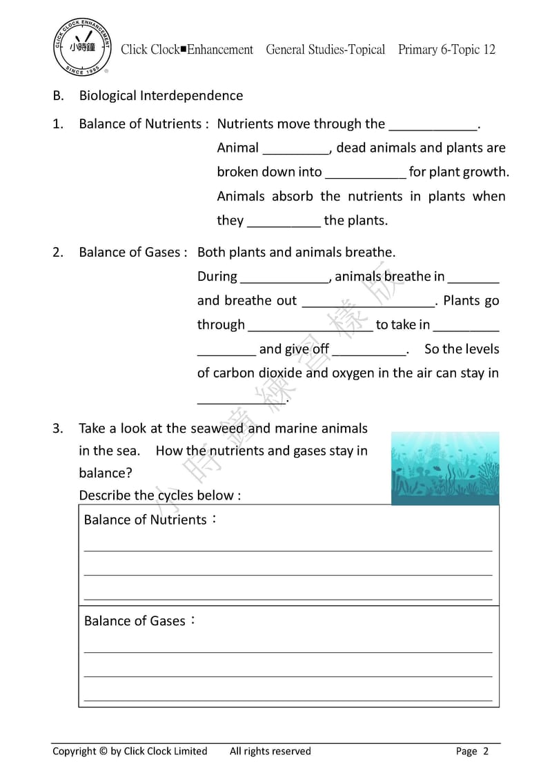 模擬試卷 (一年級)