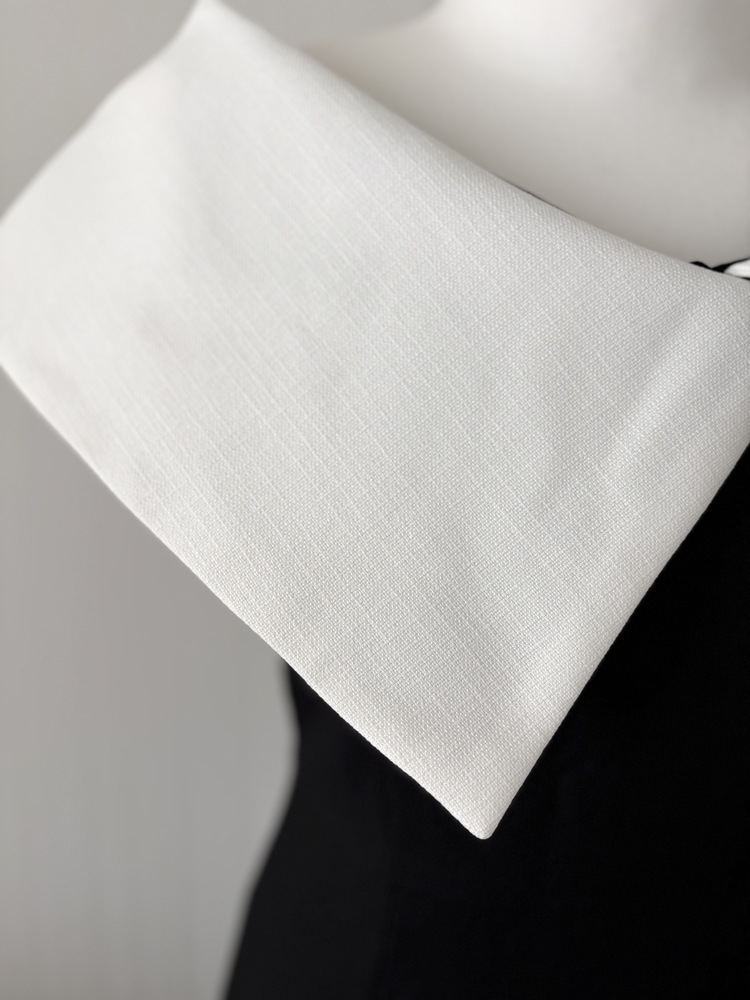Celine Contrast Collar Dress