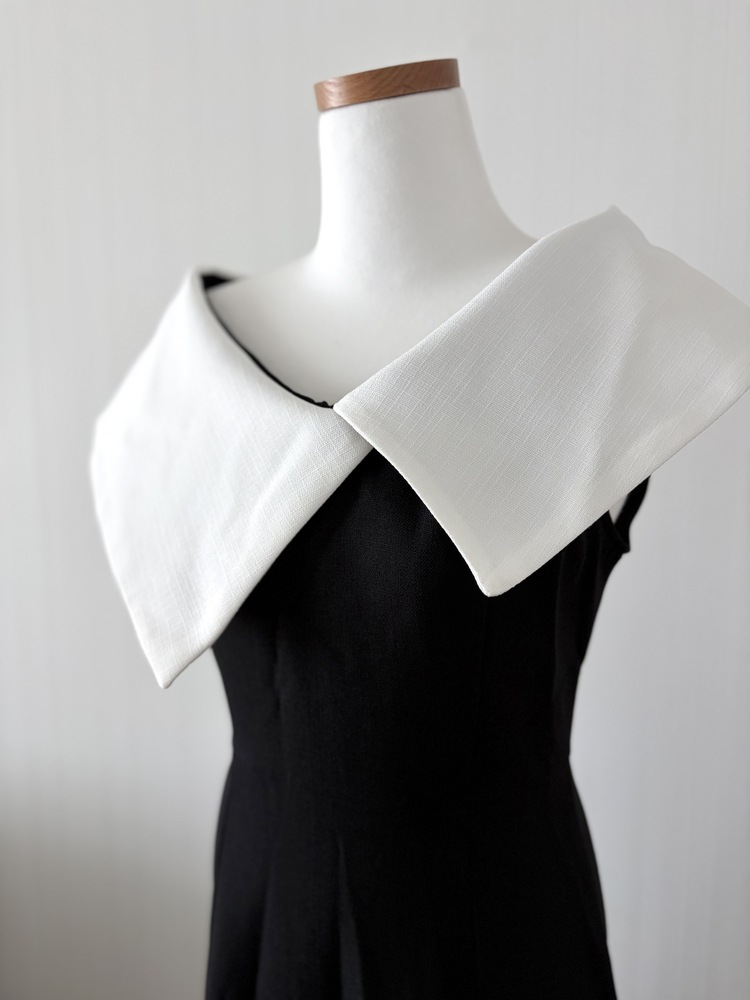 Celine Contrast Collar Dress