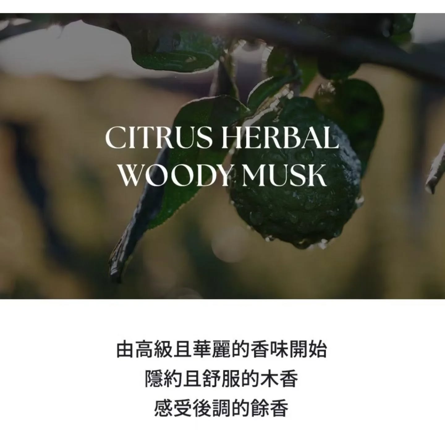 現貨💜SAM'U 極光賦活水感護髮素😃韓國日本💜優惠$258💜原價$288💜