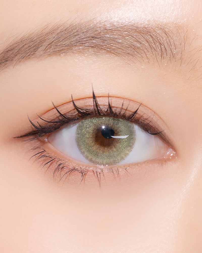 SIESTA - Sahara Palm (1month/2P)