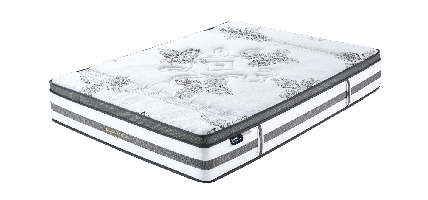 CASA Sleep-Lab EMS2000床褥