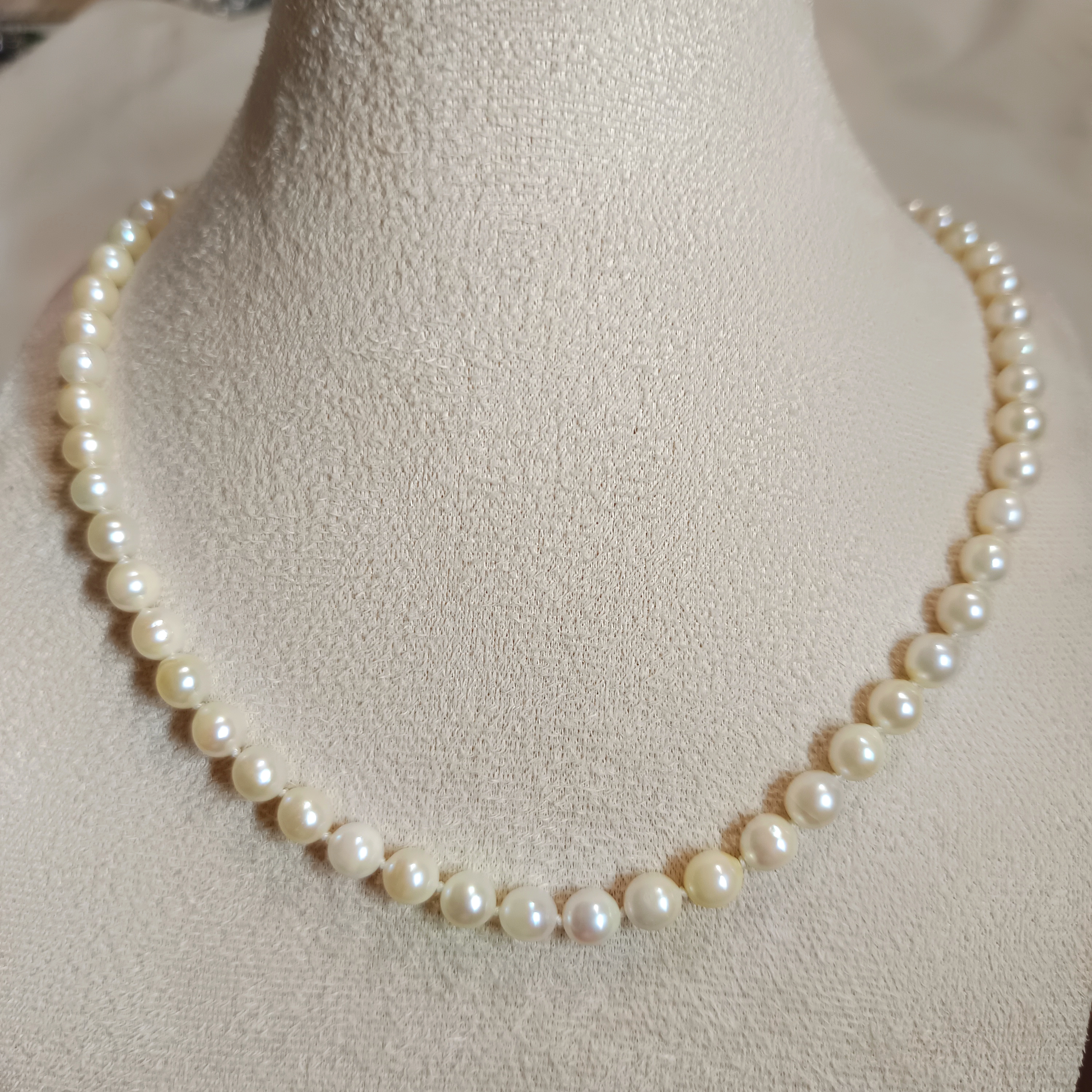 近正圓強光日本akoya 淺羽皇金海水珍珠不繡鋼扣素鍊