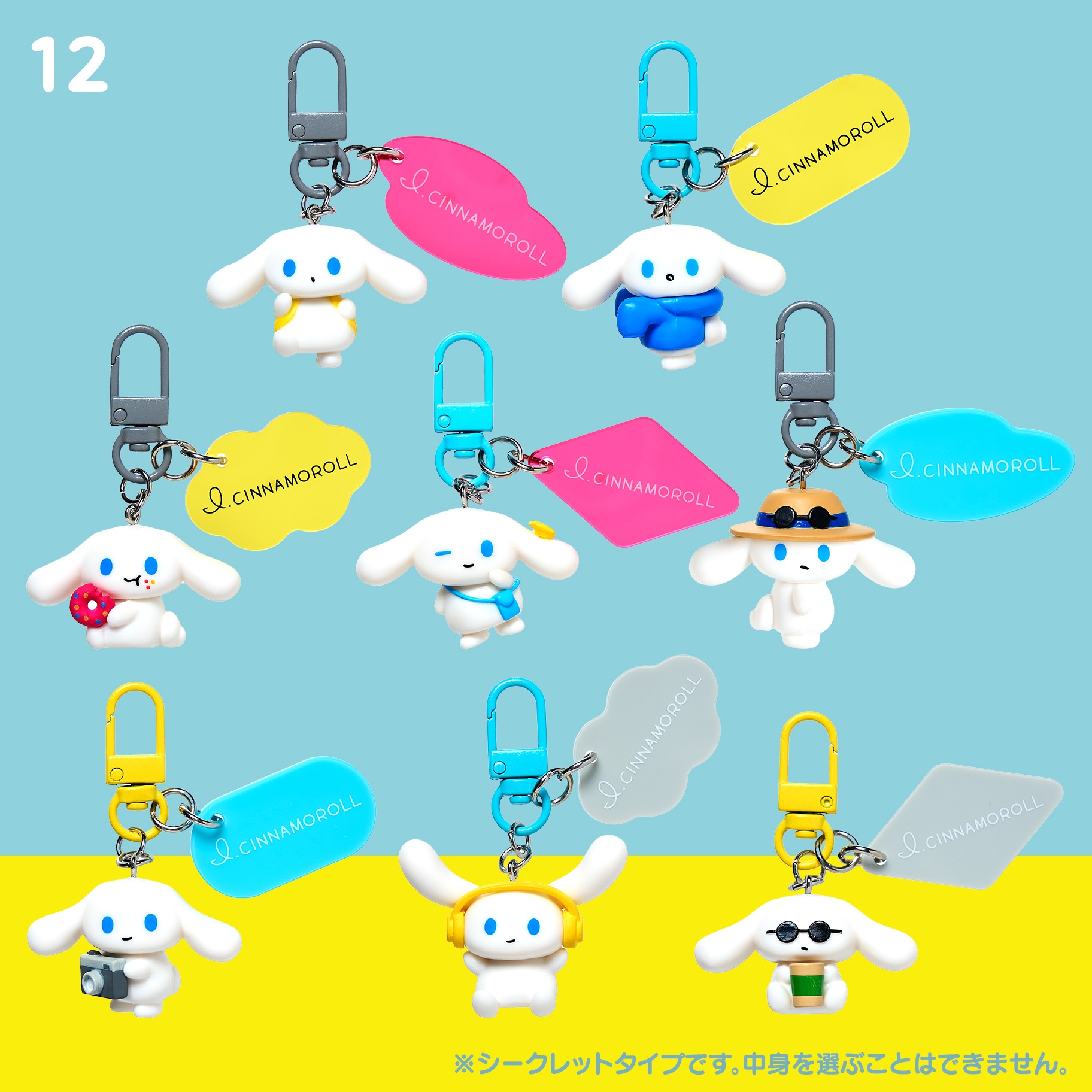 🌸 【預訂】I love Cinnamoroll series - No.10-Charm(隨機)