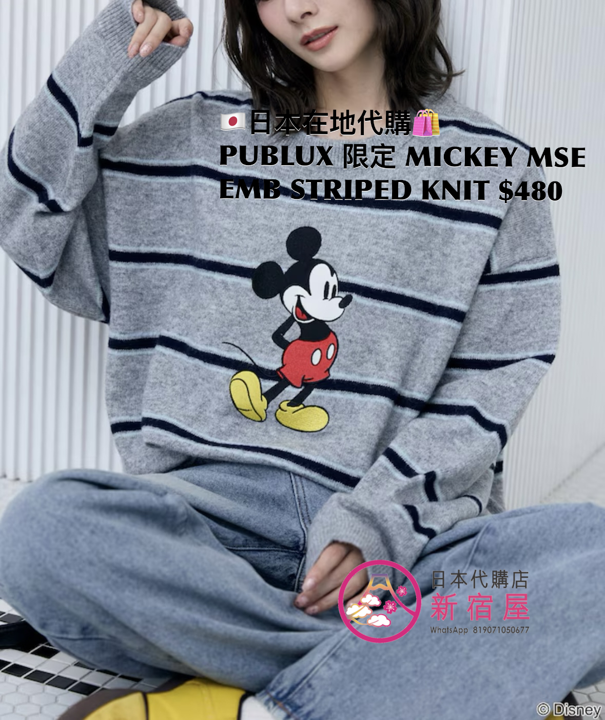 PUBLUX 限定 MICKEY MOUSE EMBROIDERY STRIPED KNIT