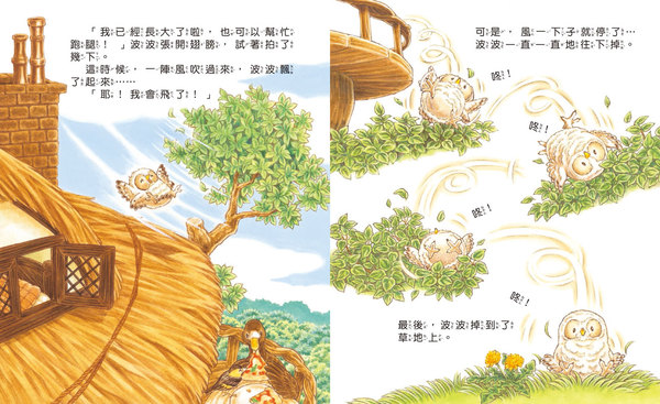 球球館 大排長龍的貓頭鷹餐廳