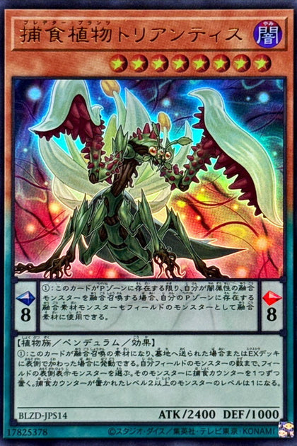 BLZD-JPS14(UR) 捕食植物黏菖蒲螳螂