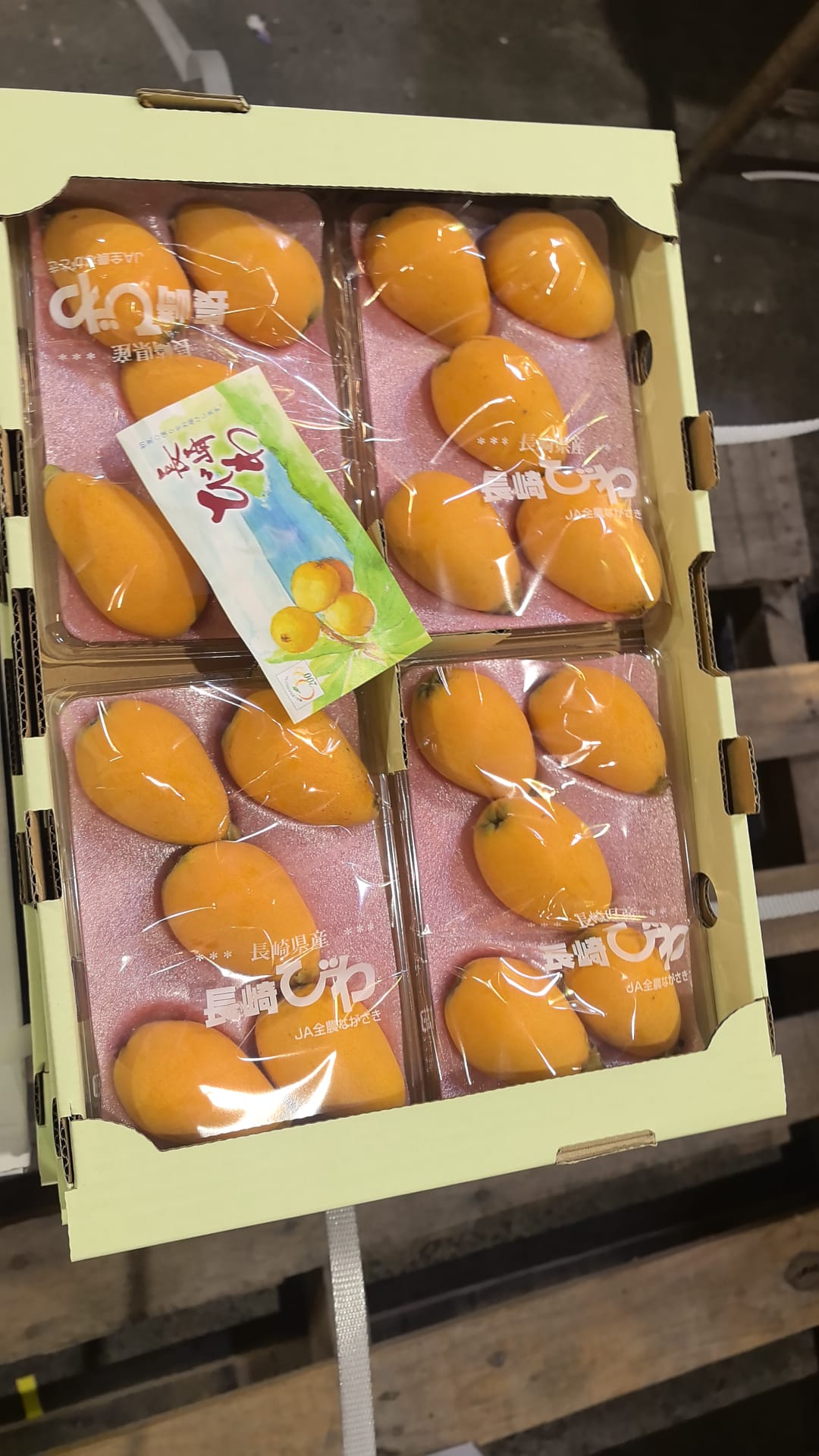 日本枇杷 每包5至6個