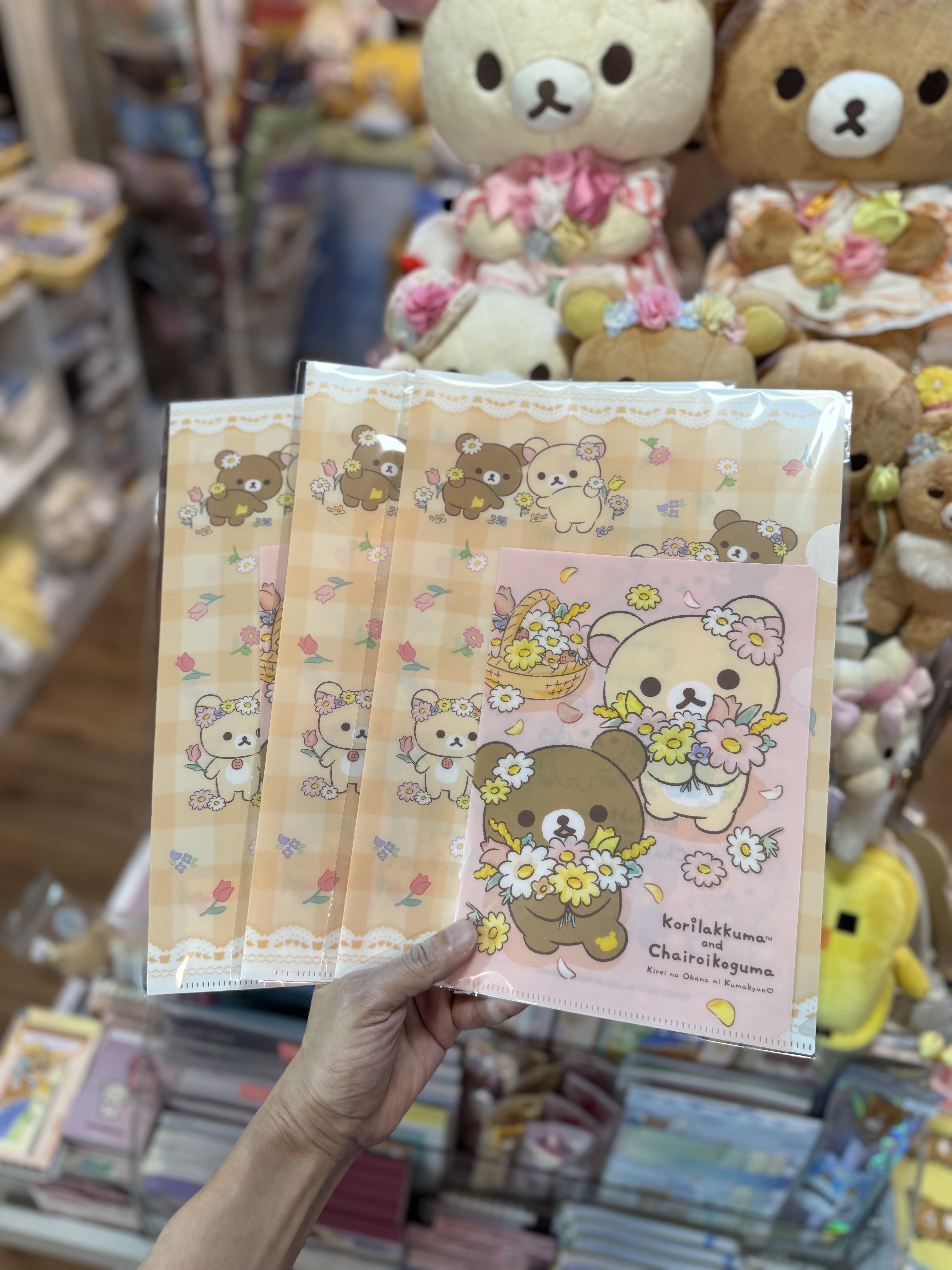 現貨》全新日本有樂町pop up店限定 花花造型A4+A5 