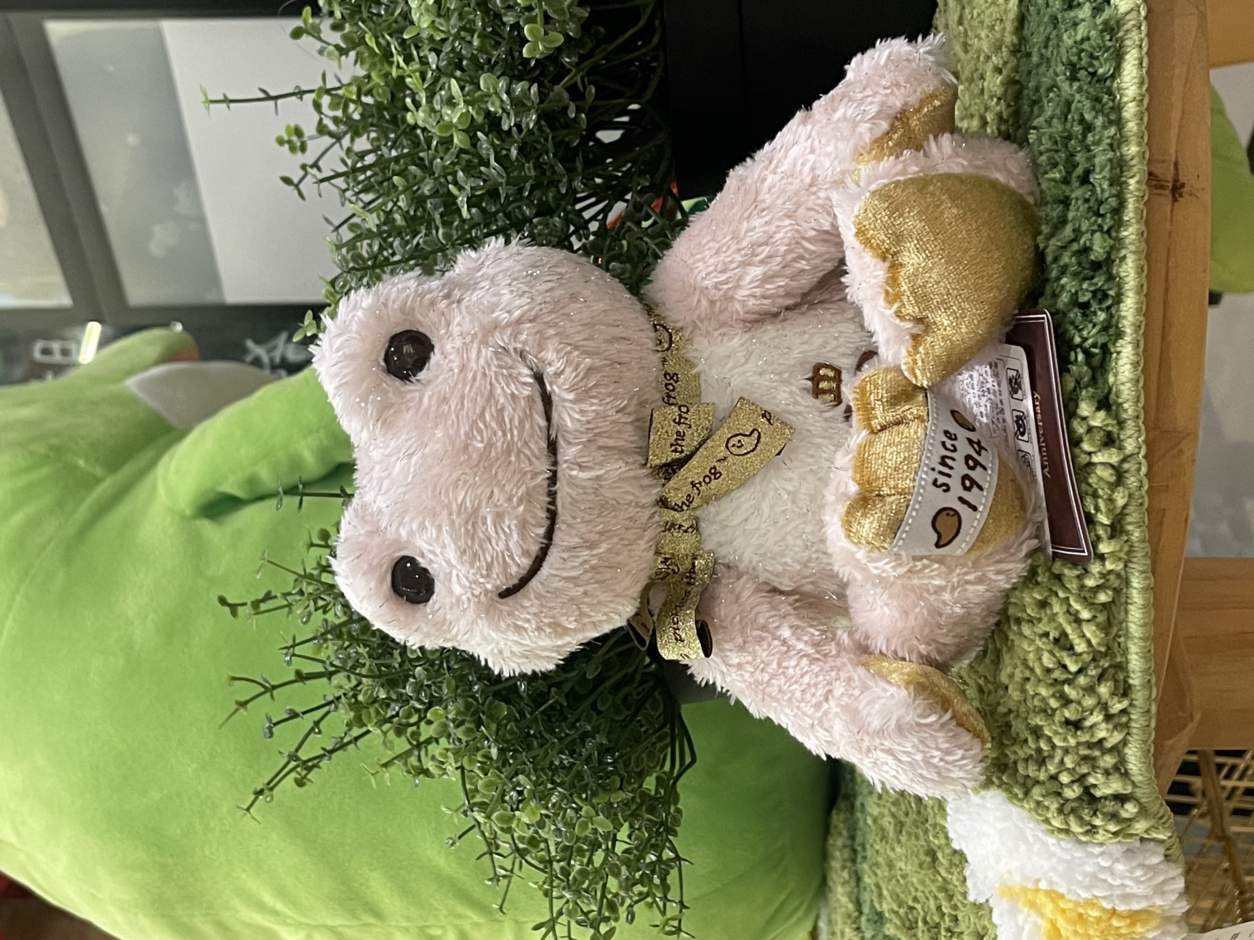 Pickles the frog 30th 週年限定版Beandoll