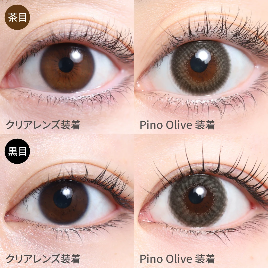 TeAmo - Cheria Pino Olive (1day/10P)