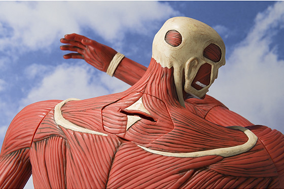 《魂商店限定》超大型巨人 存錢筒 Figure 進擊的巨人 高約60cm