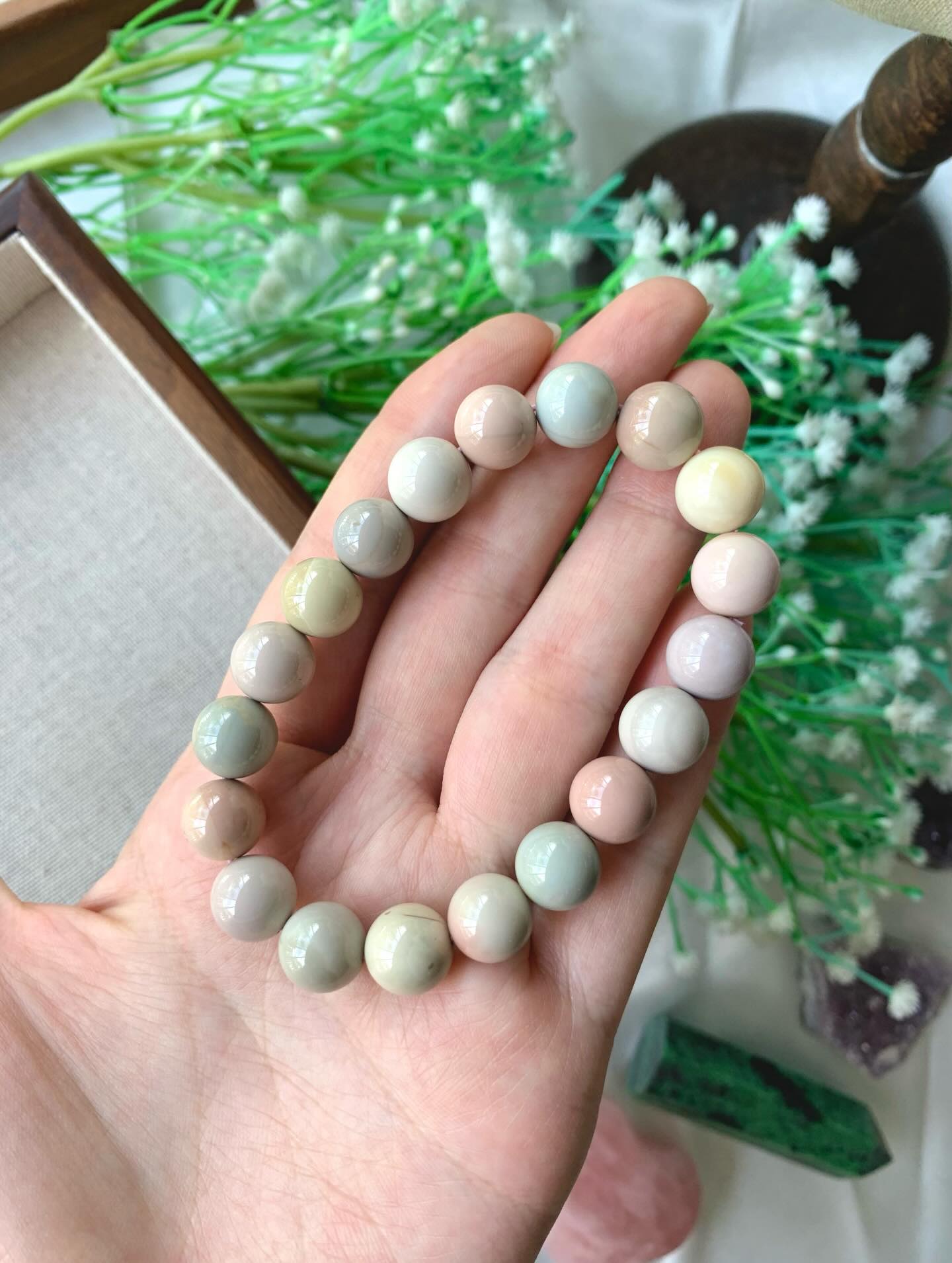 Pastel Alashan 糖果阿拉善 