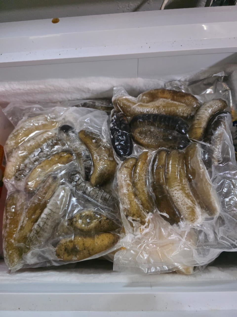 恒发‖ 冷藏马达加斯加AB海参-1kg Frozen Cleaned Madagascar AB Sea Cucumber