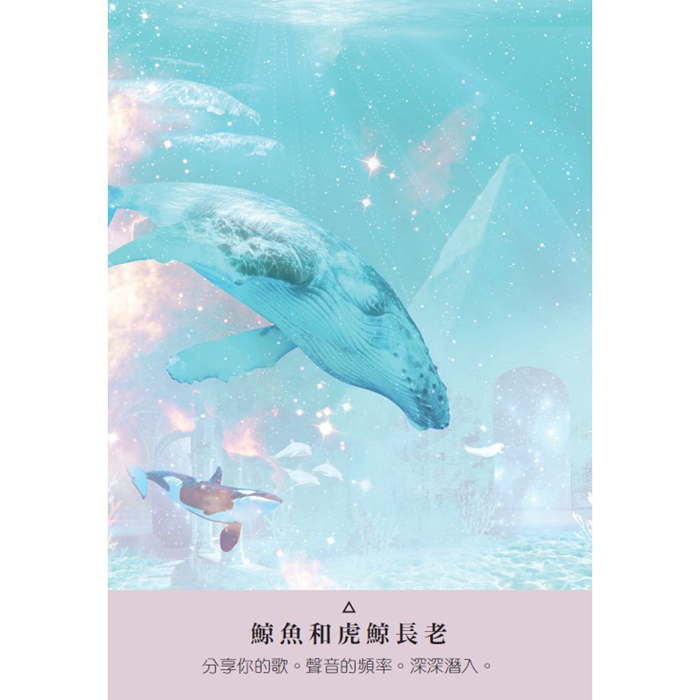 星際種子神諭卡