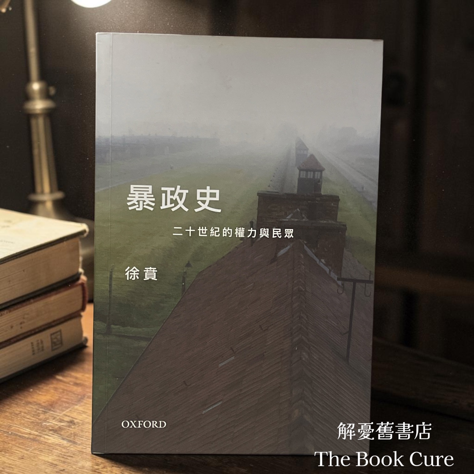 暴政史：二十世紀的權力與民眾 / 徐賁 著
