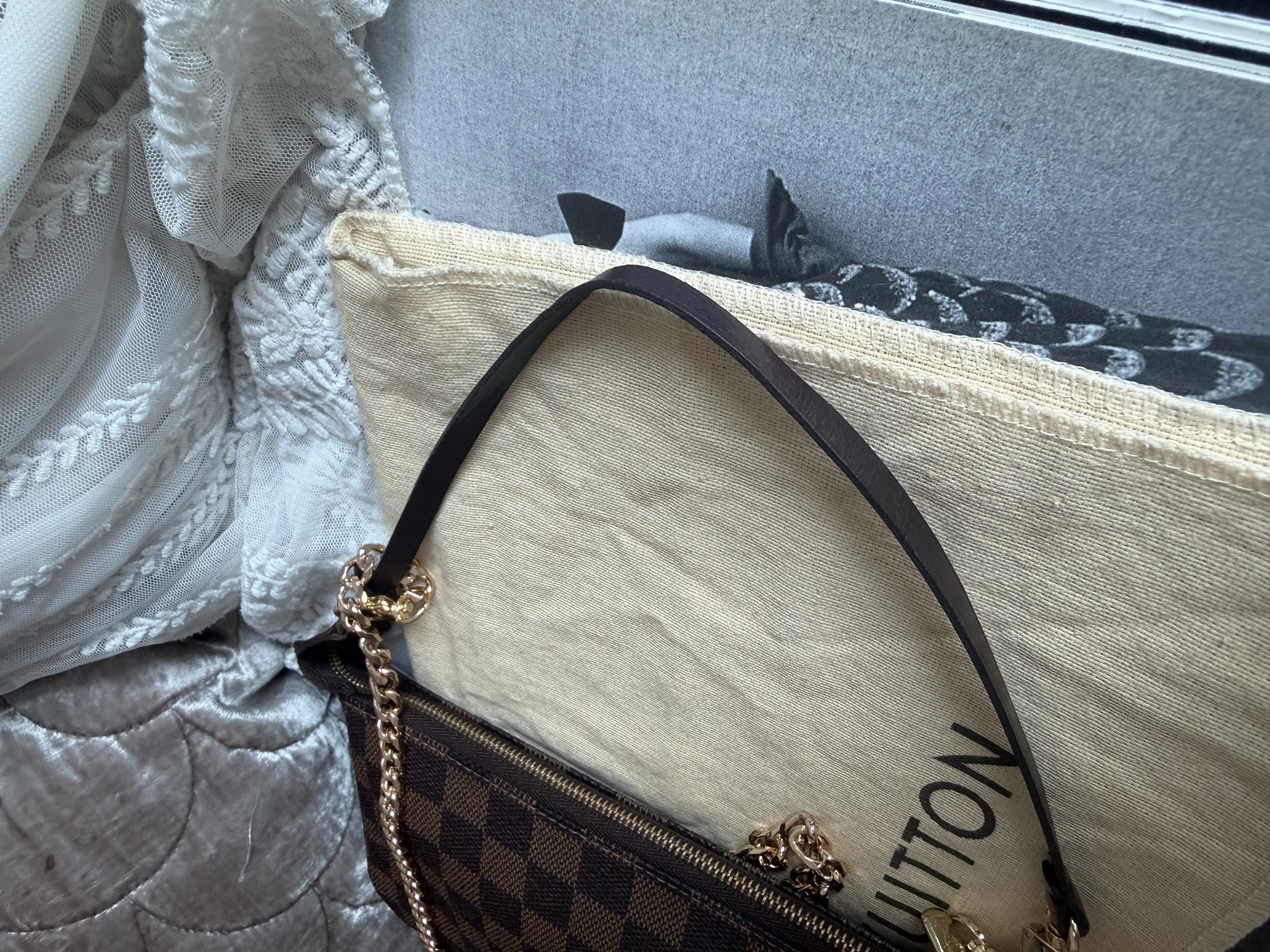 Louis Vuitton Damier Ebène Canvas Pochette Accessoires 