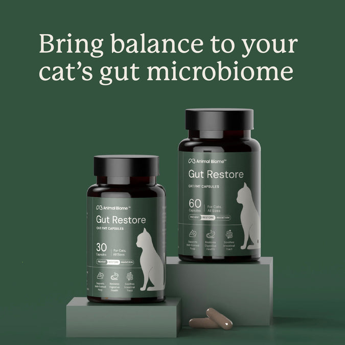 AnimalBiome : Gut Restore for Cats [最新存貨情況請參閱下列商品介紹]