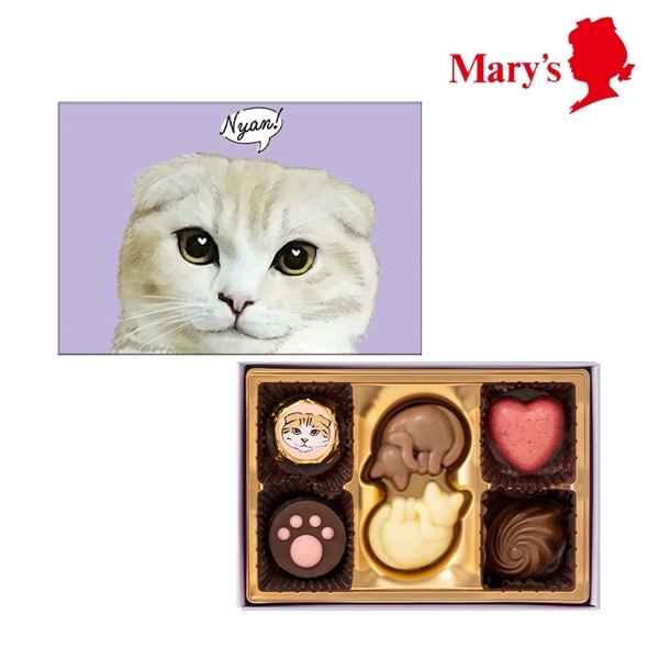 日本 Mary’s NEKO 貓貓朱古力禮盒6件