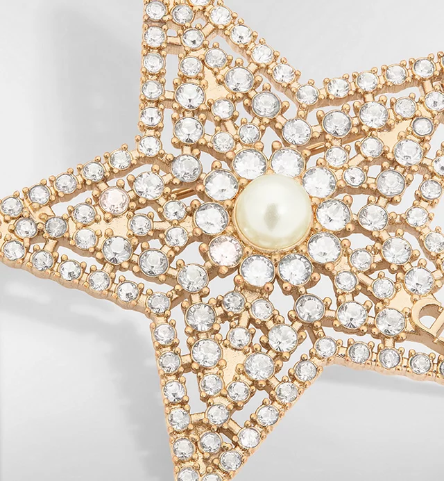 【原單】DIOR 星夜胸針 連禮盒