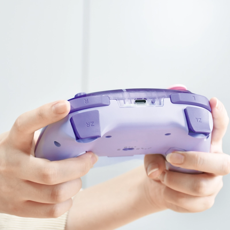 SW2 HORI 無線控制器 卡比 & 瓦豆魯迪 / Wireless TURBO Pad (Kirby & Waddle Dee) NSX-124E SW2-0363