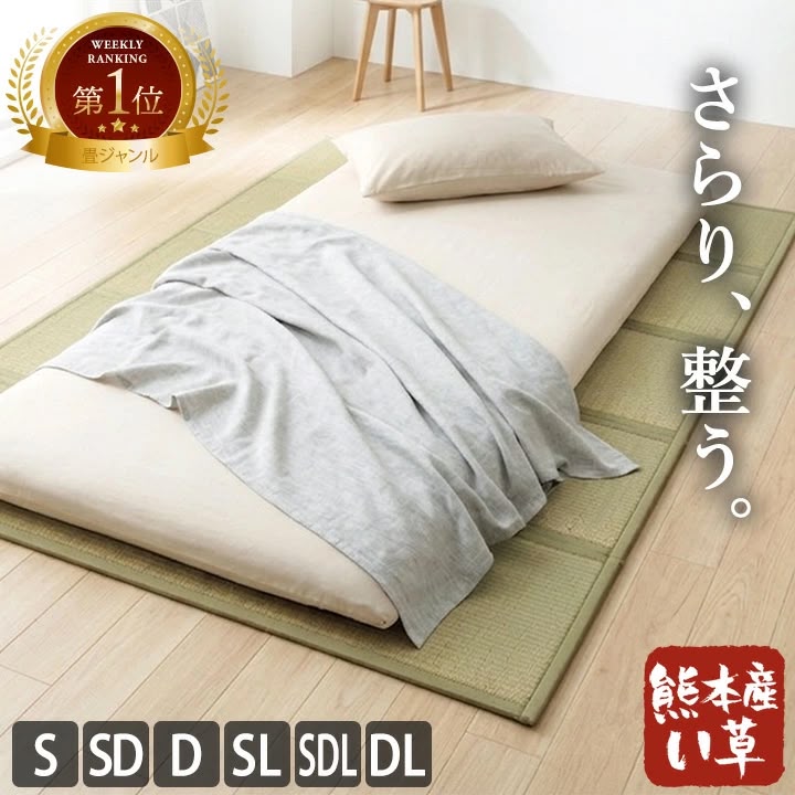 ✨已包國際運費✨[請填寫商品名稱]