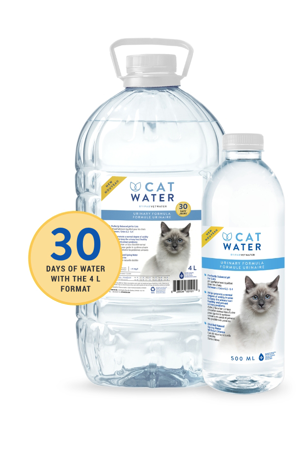  Dog Water 防尿石強效守護(狗用)配方飲用水(4升)