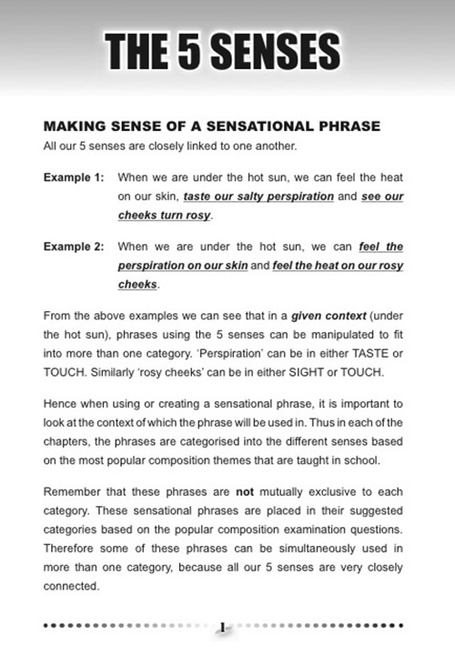 Phrases for Sensational Writing 6