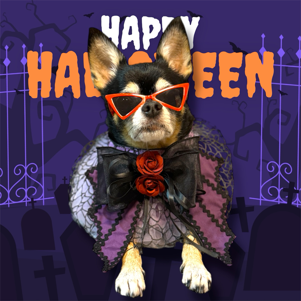 寵物手作 Halloween 暗黑者 歌德風 頸飾