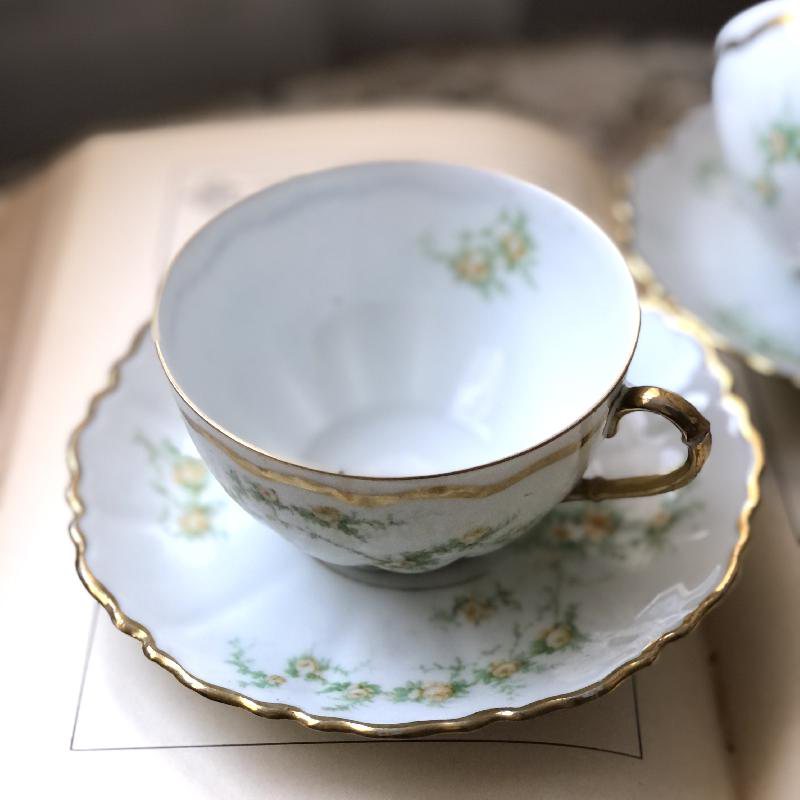 Antique 1889-1918 Made in Austria Hand-painted Floral Tea Set Duo Pair(MT086)