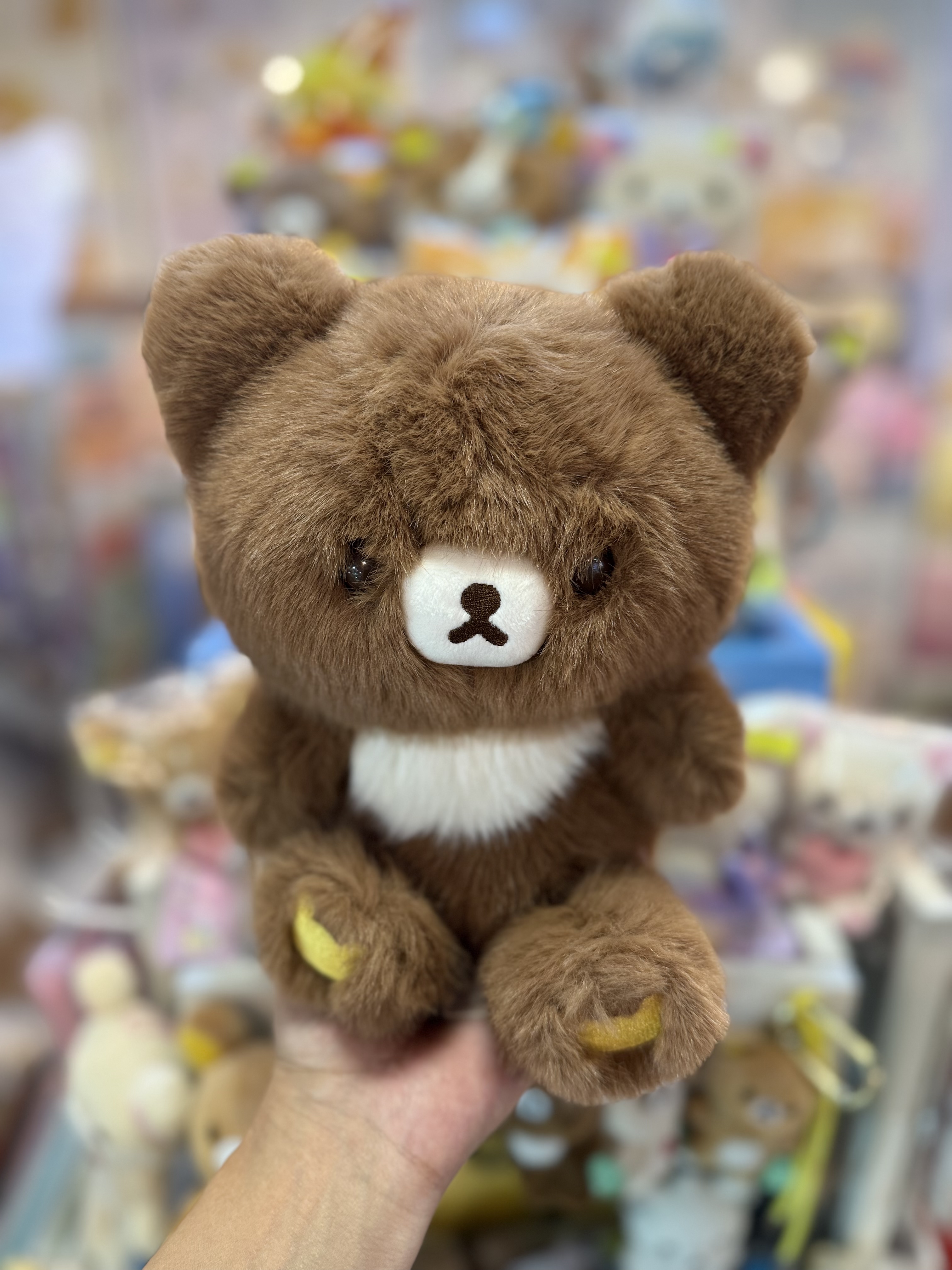 《現貨》全新日本專店限定小熊10週年 小熊毛毛公仔