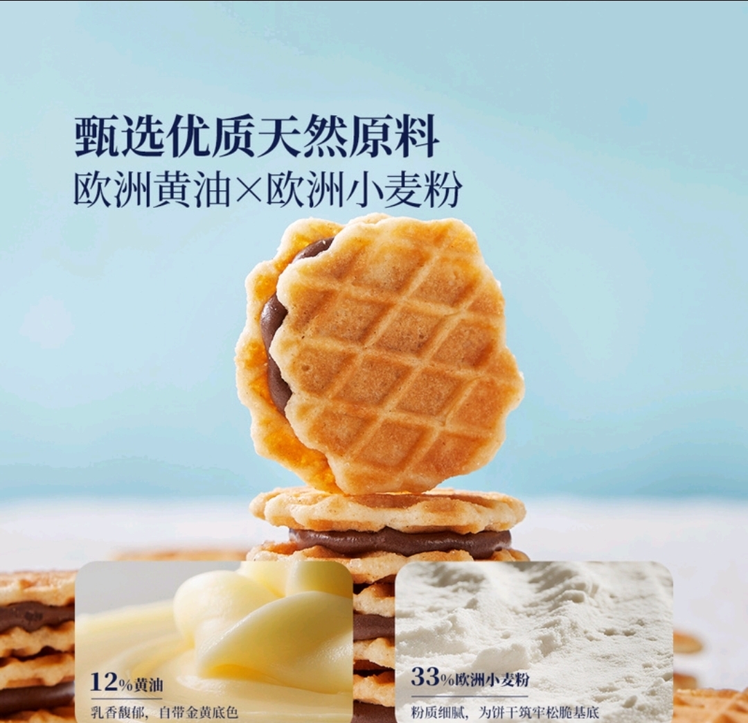 Jules Destrooper 比利時巧克力味夾心黃油華夫餅 540g