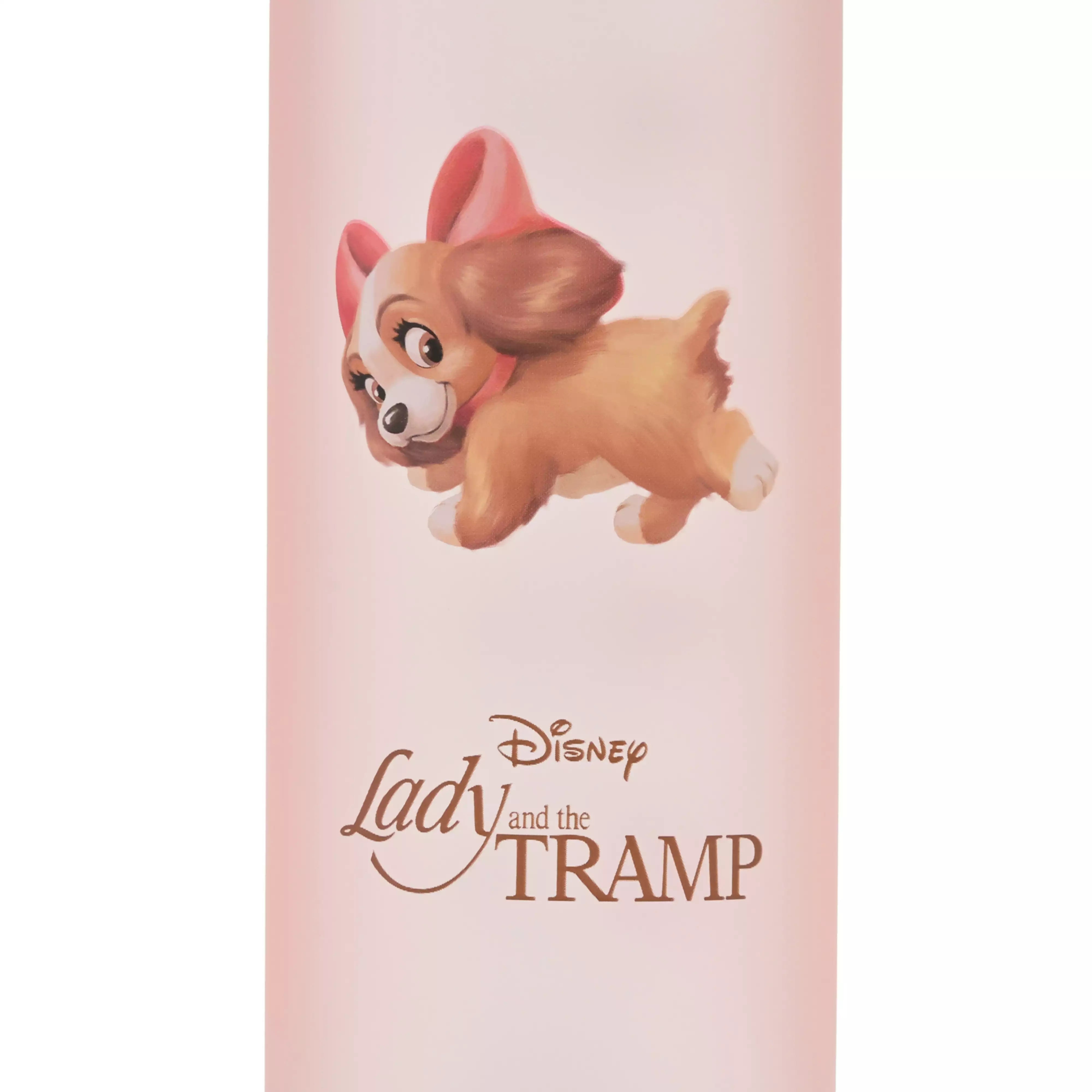 🌸 【預訂】LADY 水樽 590(ml)  - 9/7新品