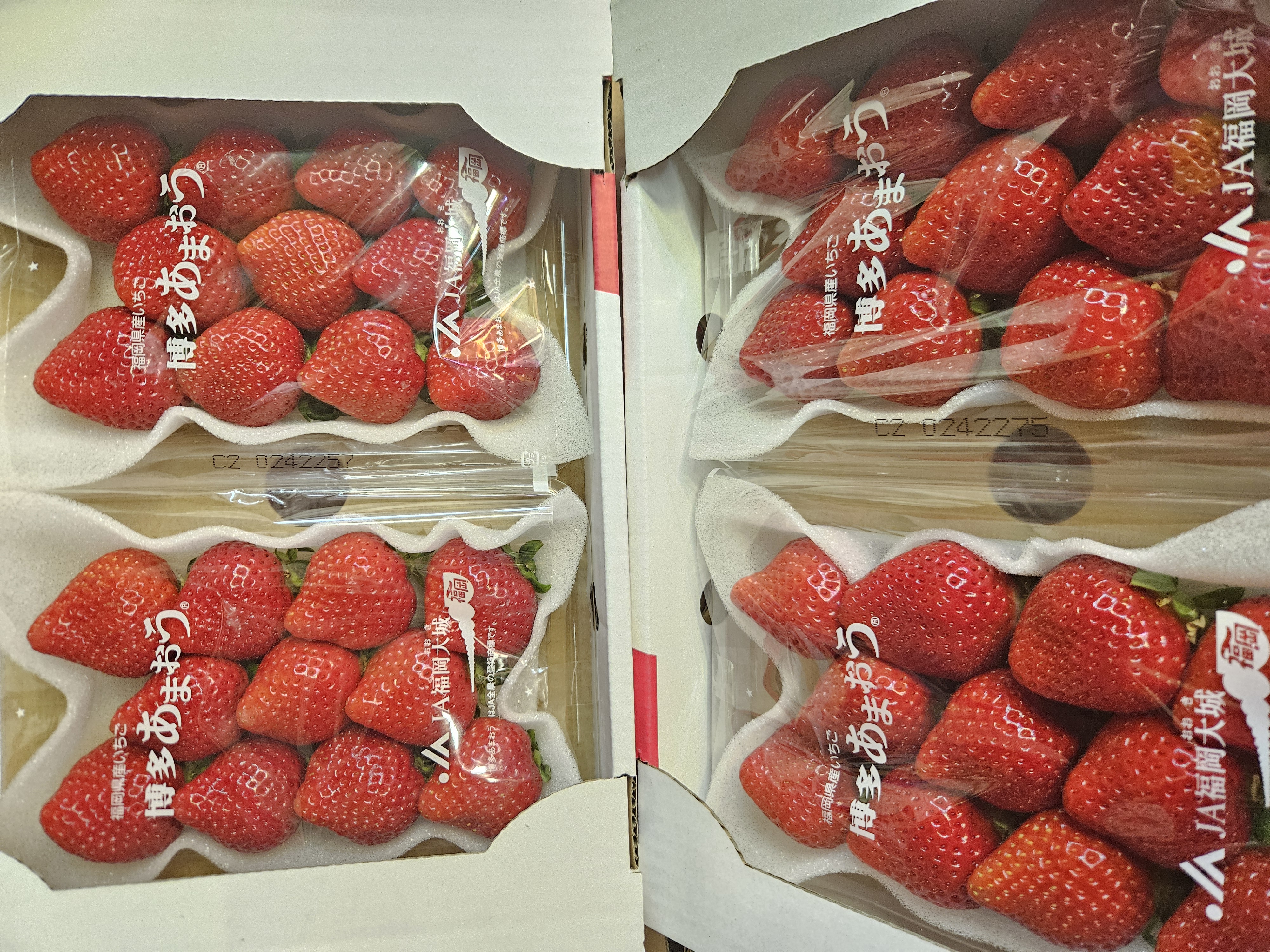 日本福崗（甜王）士多啤梨 每盒两包