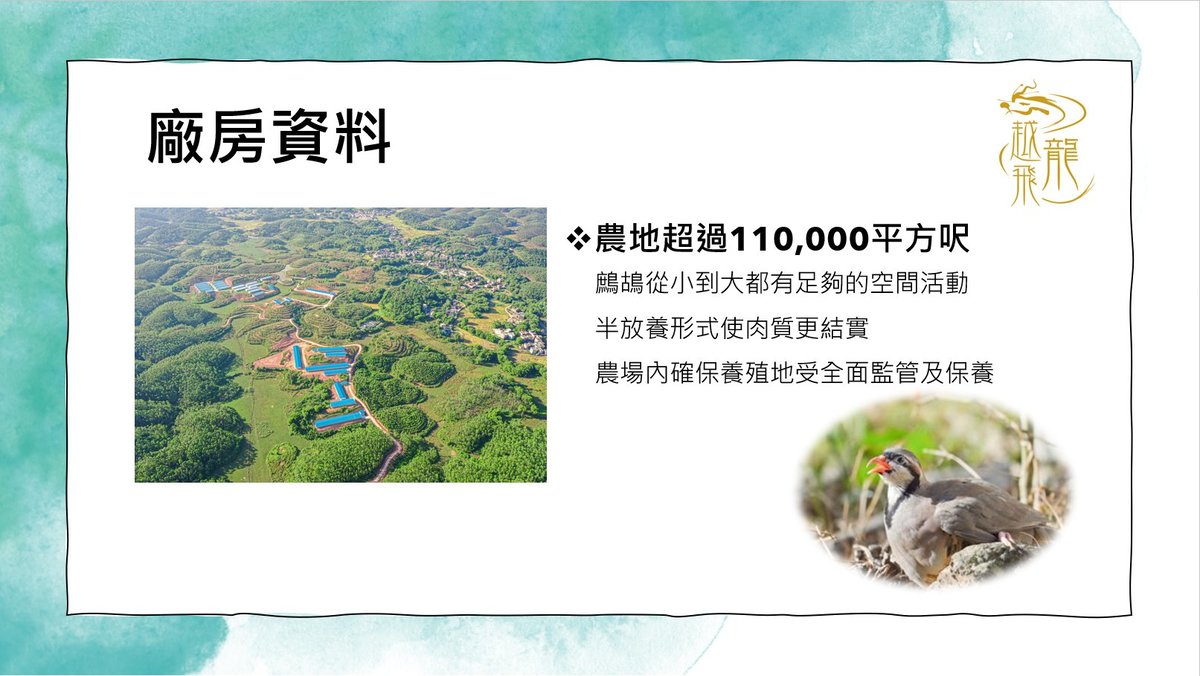 越飛龍甘氏無激素 鷓鴣皇 (300天)